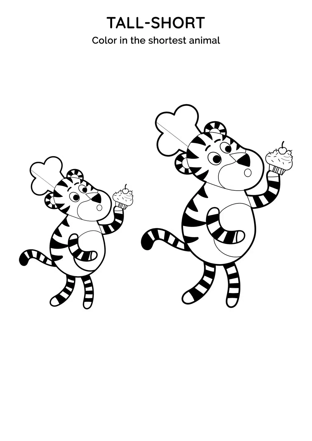 math_size_03_EN_web-1